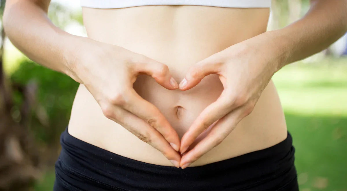 Sistema digestivo en equilibrio