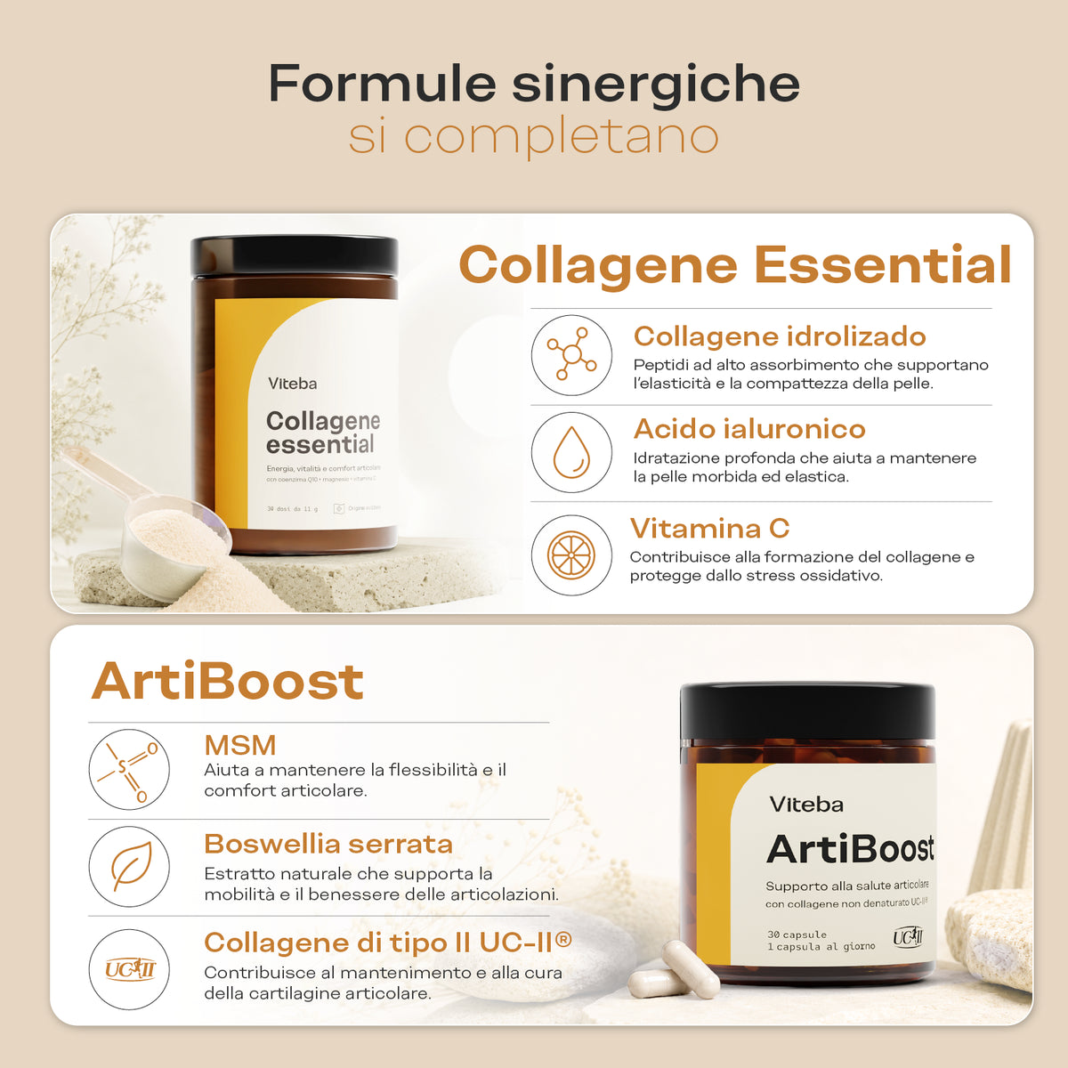 BANDLE_movilita_02 sinergiche