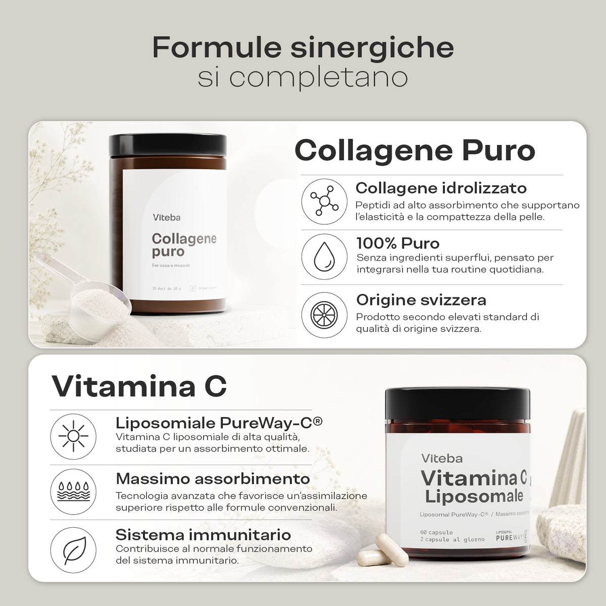 Bandle_Fundamen_2_it_sinerfiche